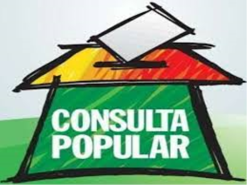 CONSULTA POPULAR